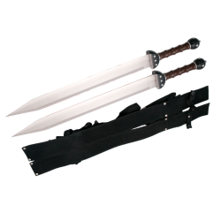 JUEDO DE DOS GLADIUS...