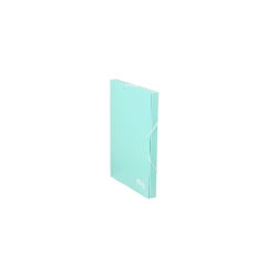 CARPETA DE PROYECTOS MENTA...