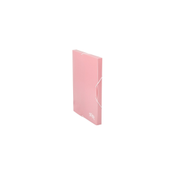CARPETA DE PROYECTOS ROSA...