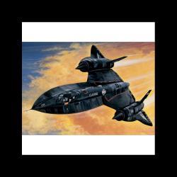 blackbird with drone avion...