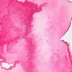 W&N PROFESSIONAL 5ML ROSA...