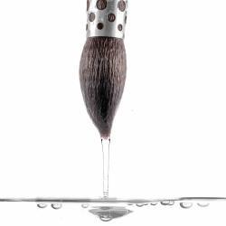 PINCEL ÚLTIMO EVOLUTION...