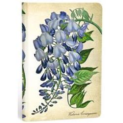 CUADERNO GLICINIA  EN FLOR...