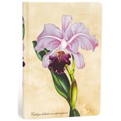 CUADERNO ORQUÍDEA BRASILEÑA...